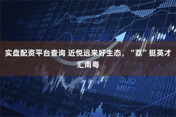 实盘配资平台查询 近悦远来好生态，“荔”挺英才汇南粤